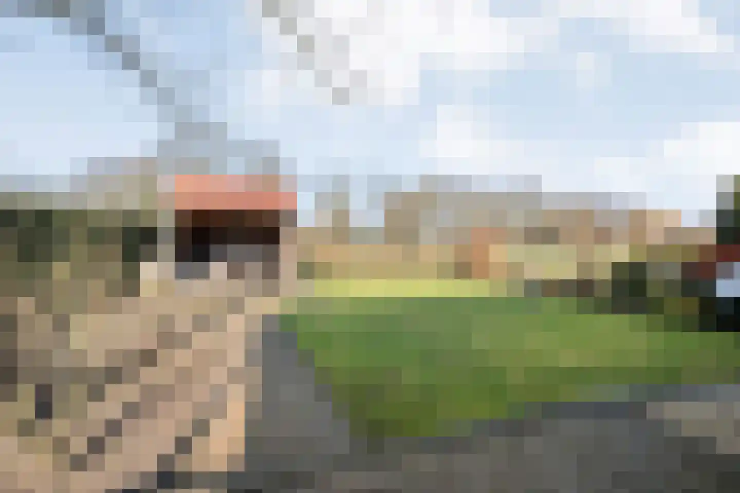 De Esch 39 Gramsbergen thumbnail 44