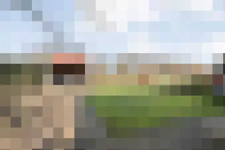 De Esch 39 Gramsbergen thumbnail 44