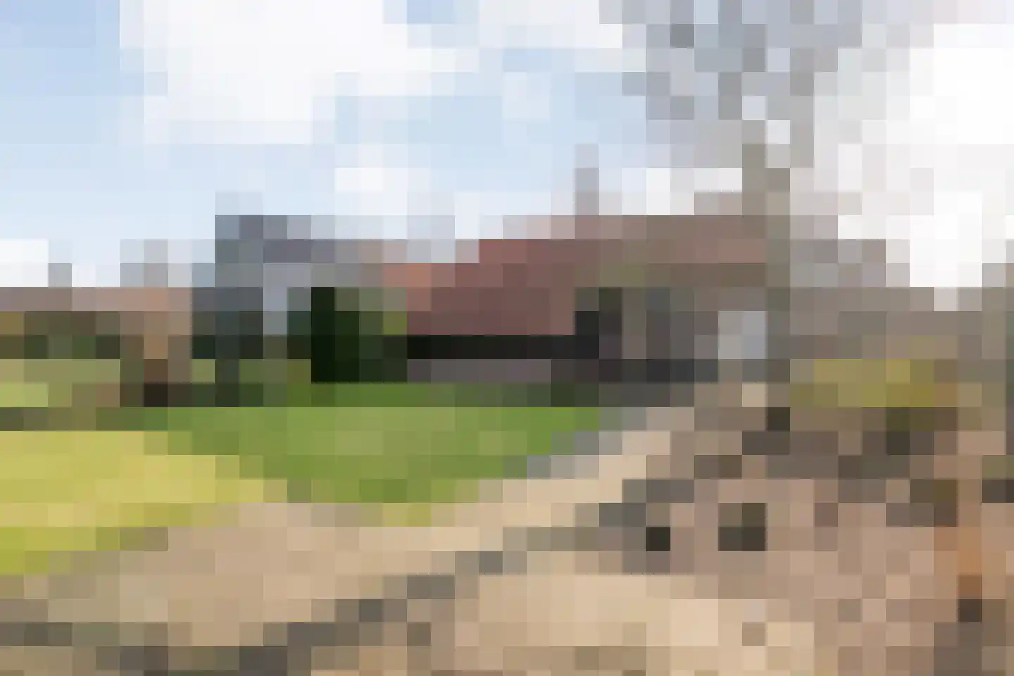 De Esch 39 Gramsbergen thumbnail 45