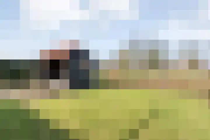 De Esch 39 Gramsbergen thumbnail 47