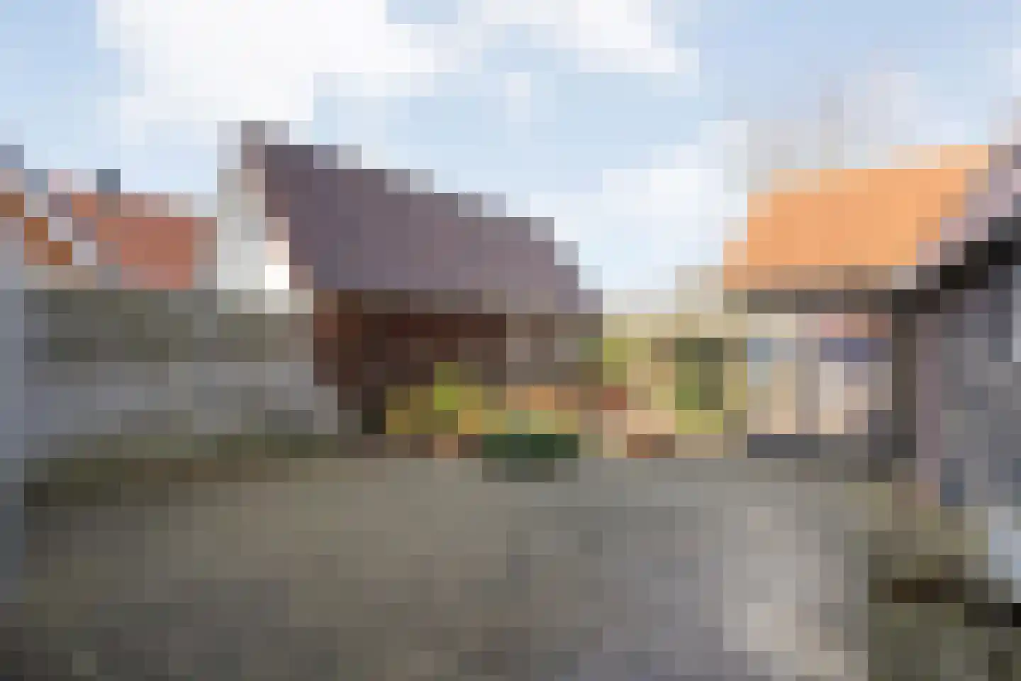 De Esch 39 Gramsbergen thumbnail 49