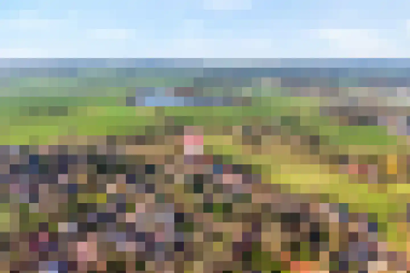 De Esch 39 Gramsbergen thumbnail 5