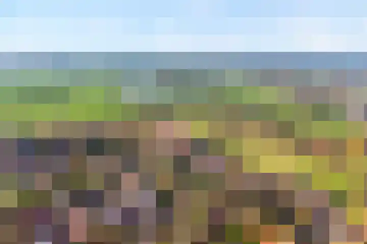 De Esch 39 Gramsbergen thumbnail 5