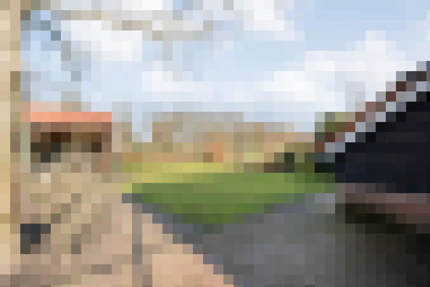 De Esch 39 Gramsbergen thumbnail 50