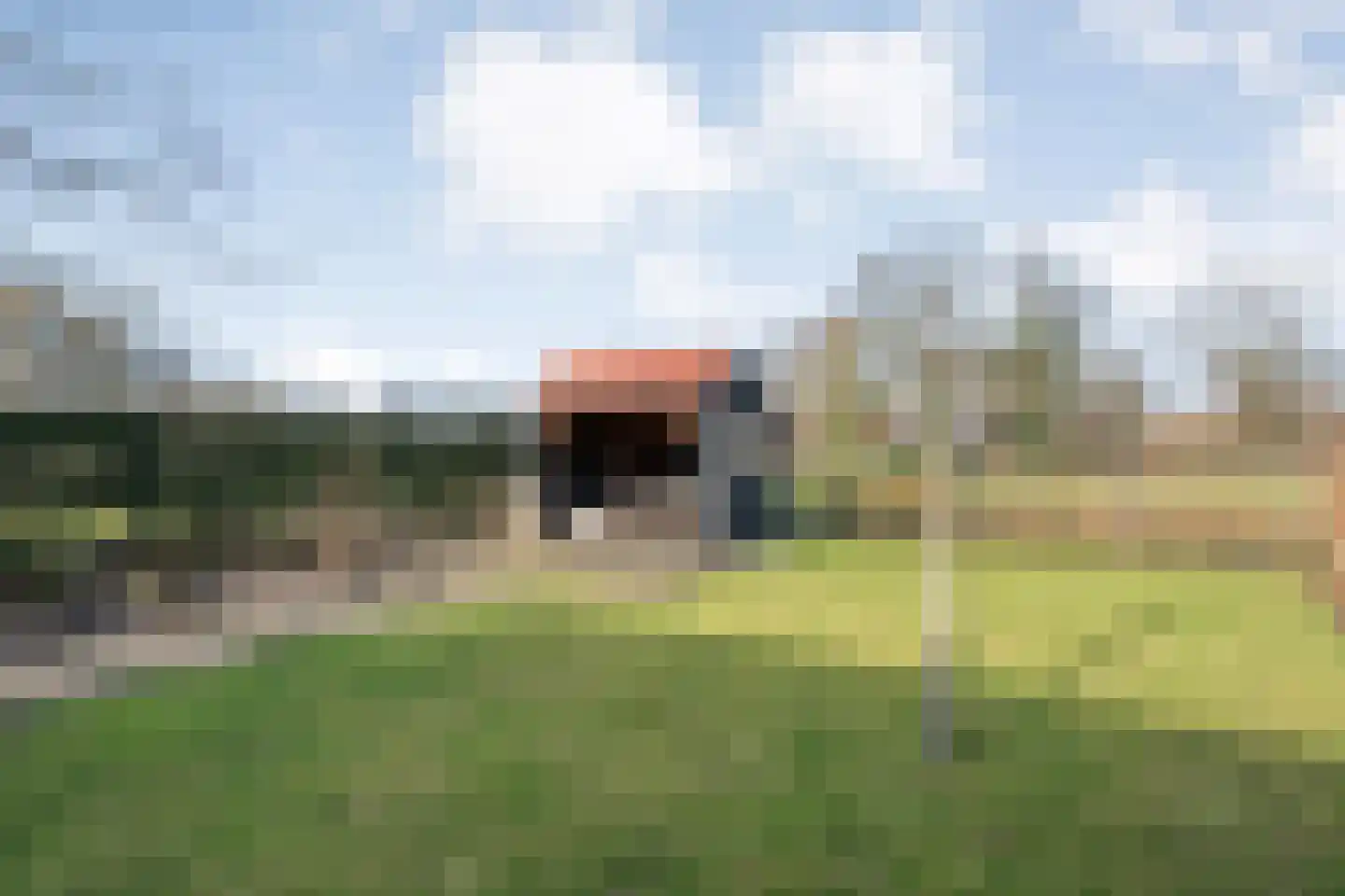 De Esch 39 Gramsbergen thumbnail 51
