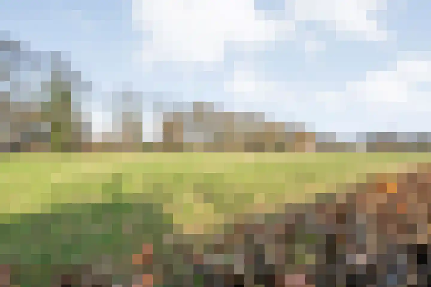 De Esch 39 Gramsbergen thumbnail 53
