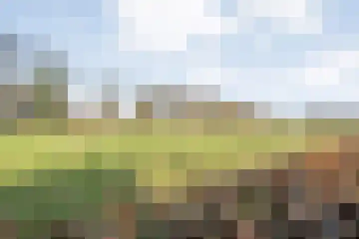 De Esch 39 Gramsbergen thumbnail 53