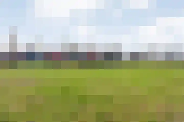 De Esch 39 Gramsbergen thumbnail 6