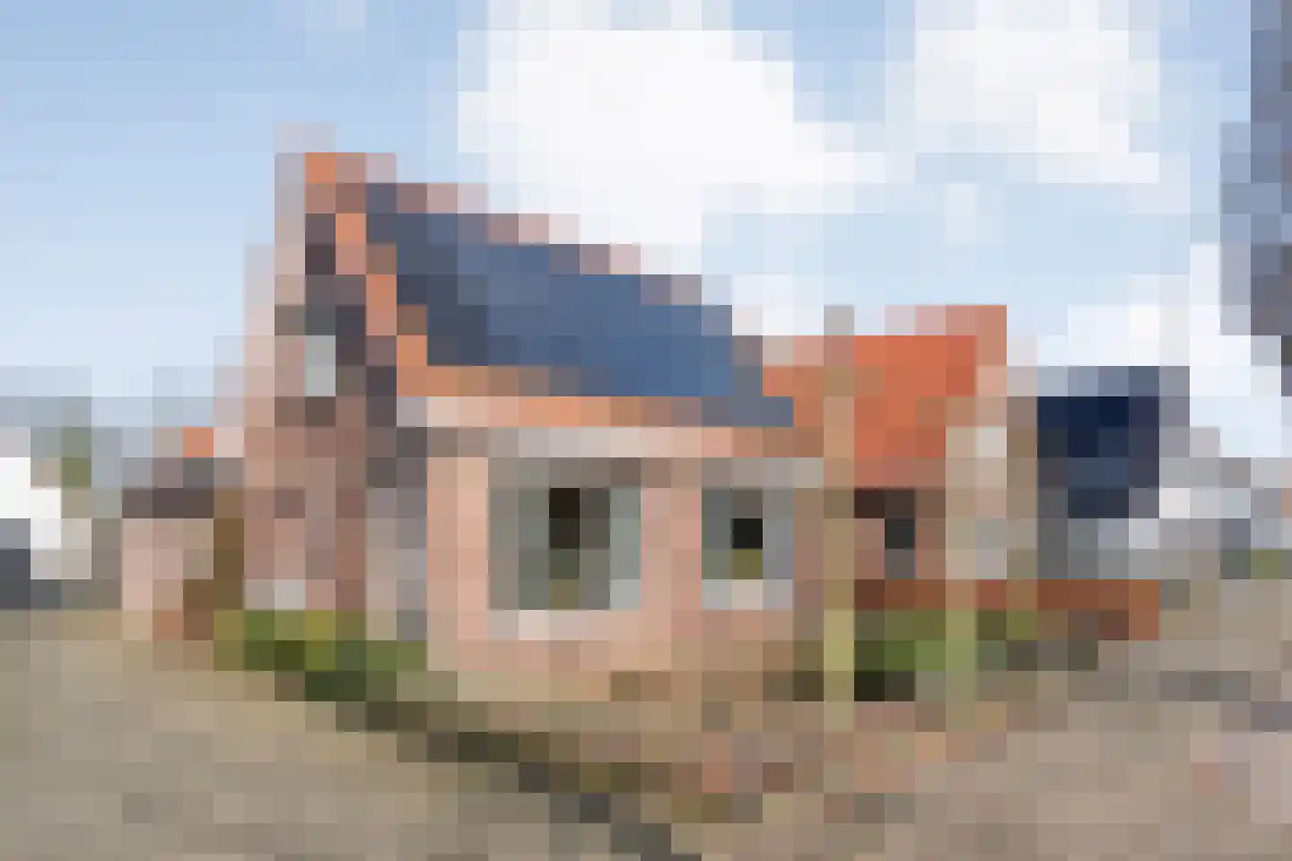 De Esch 39 Gramsbergen thumbnail 8