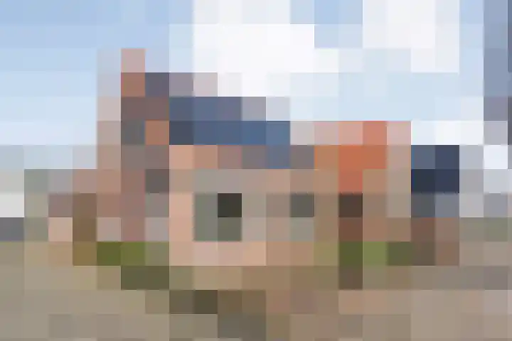De Esch 39 Gramsbergen thumbnail 8