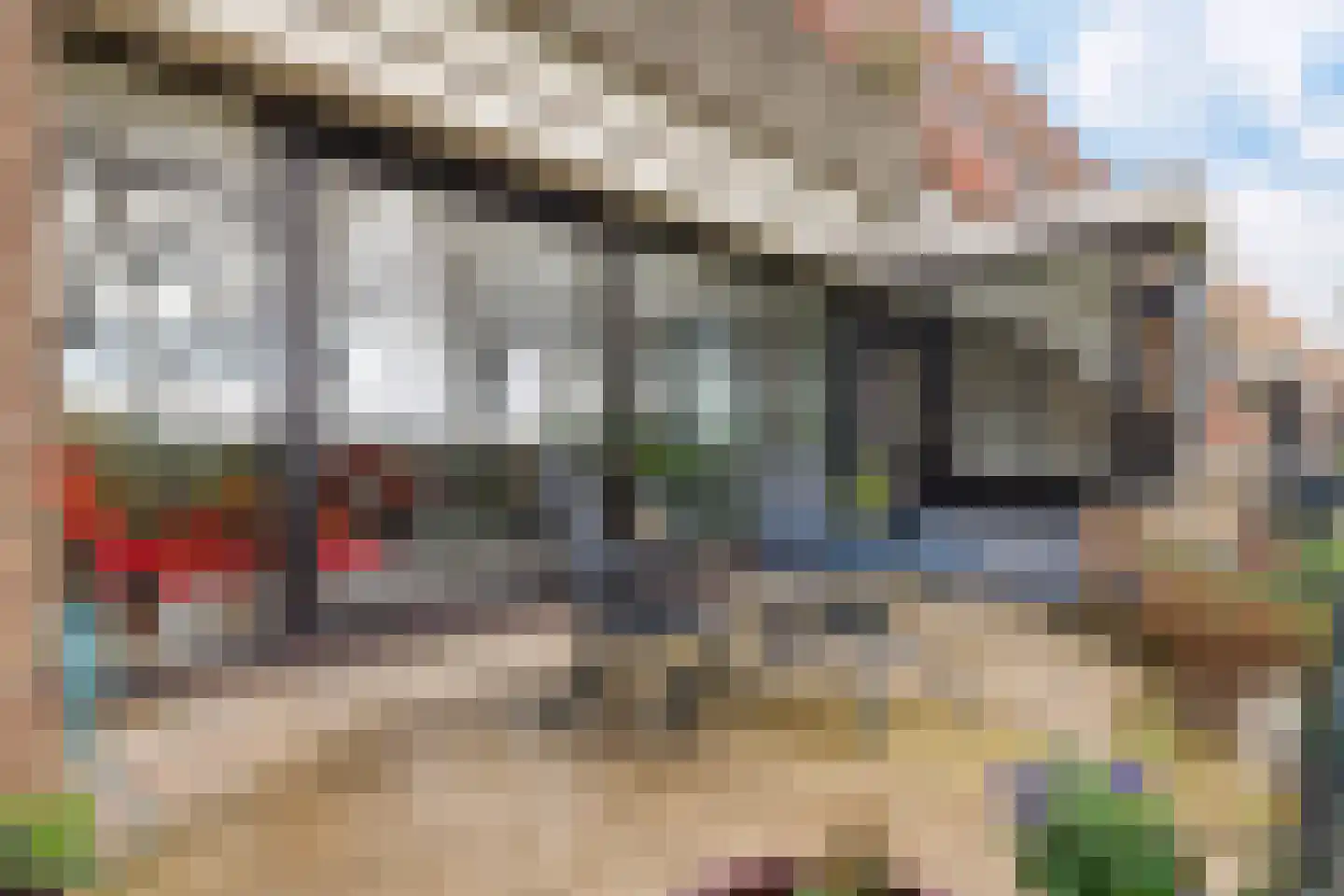De Eschmolen 110 Delden thumbnail 38