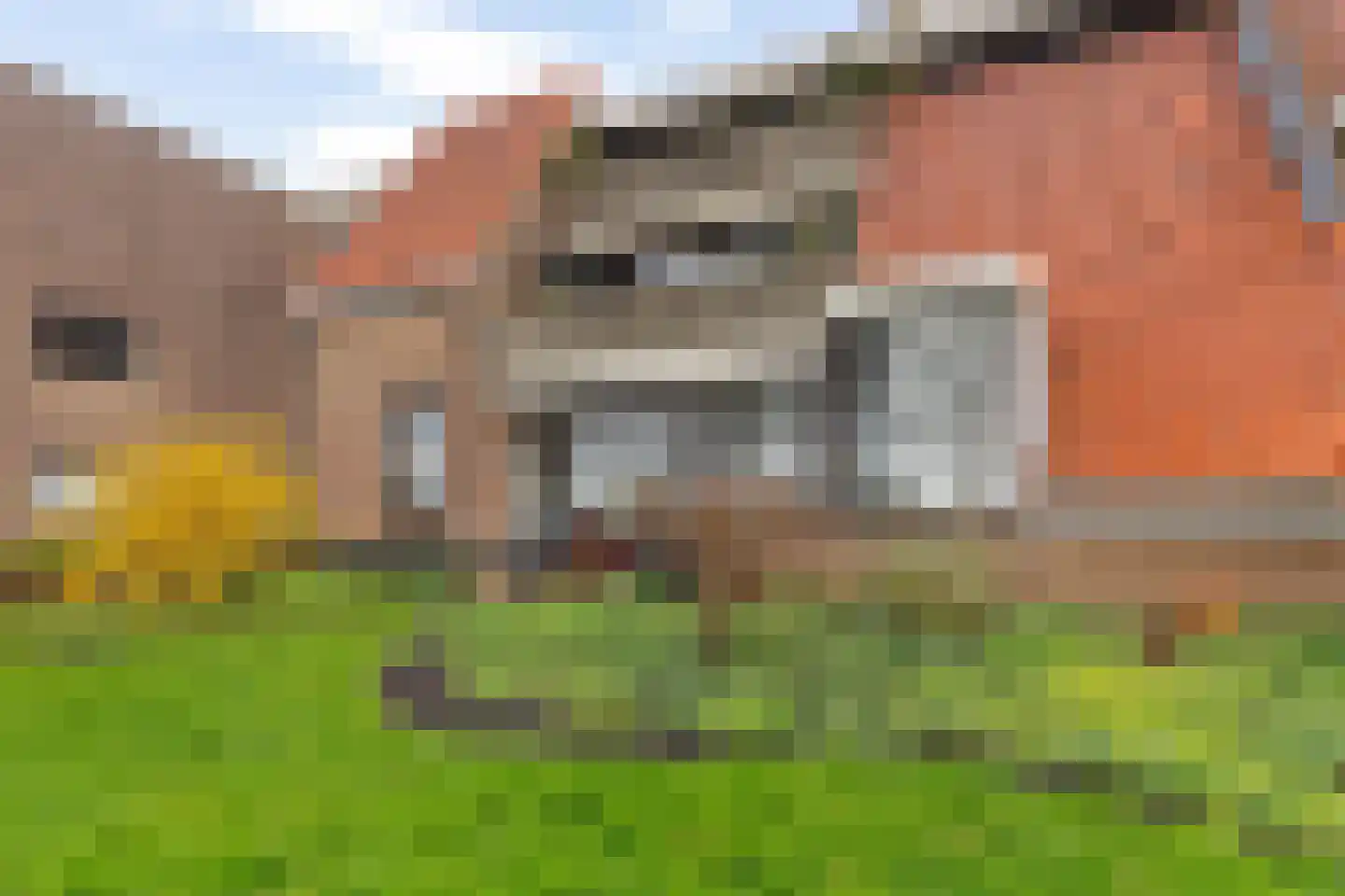 De Eschmolen 110 Delden thumbnail 8