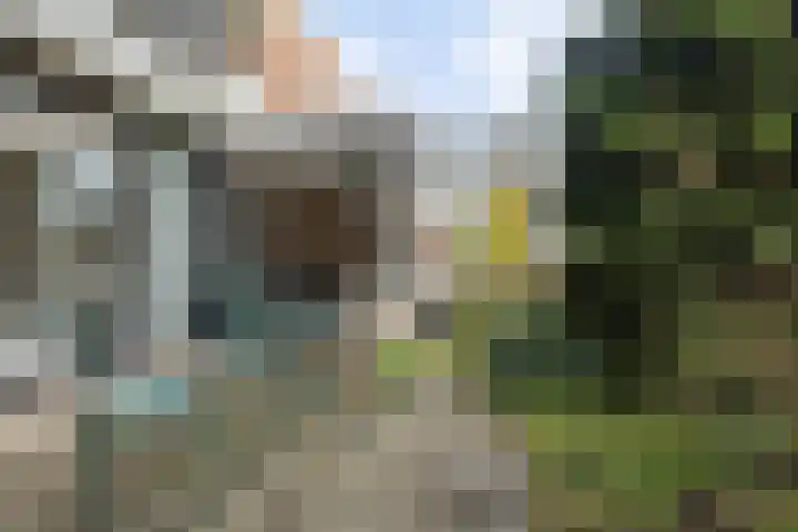 De Eschmolen 116 Delden thumbnail 5