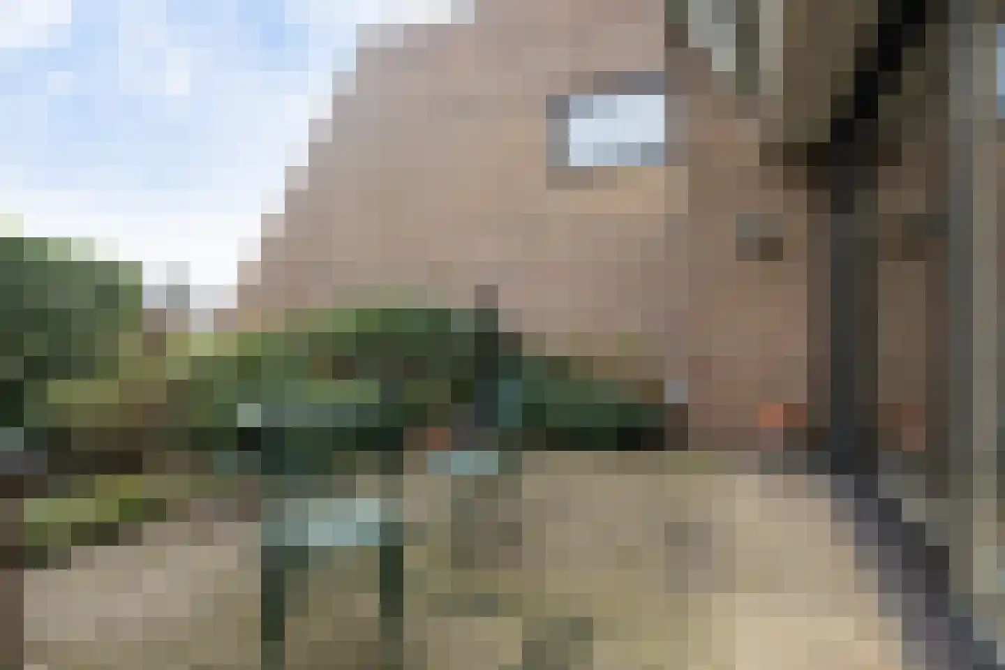 De Eschmolen 116 Delden thumbnail 6