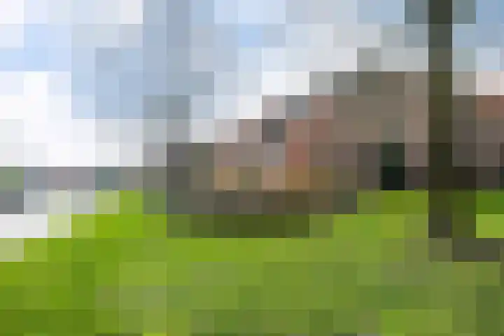 De Eschmolen 116 Delden thumbnail 8