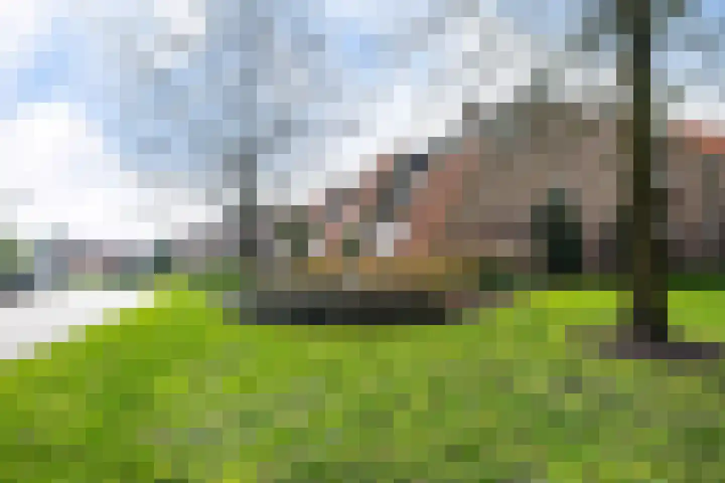 De Eschmolen 116 Delden thumbnail 8