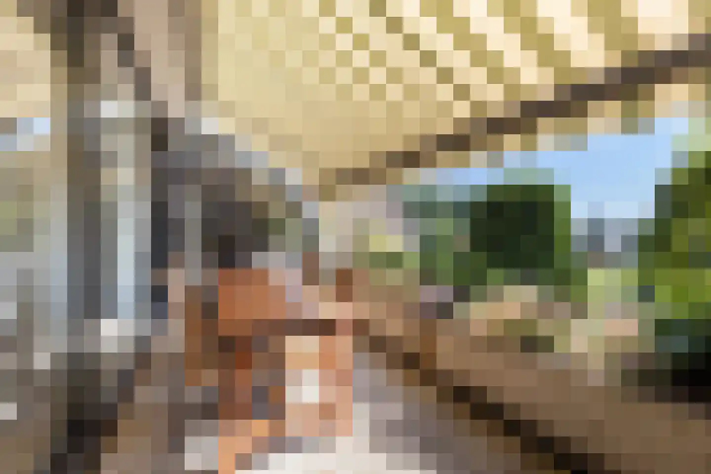 De Eschmolen 223 Delden thumbnail 4