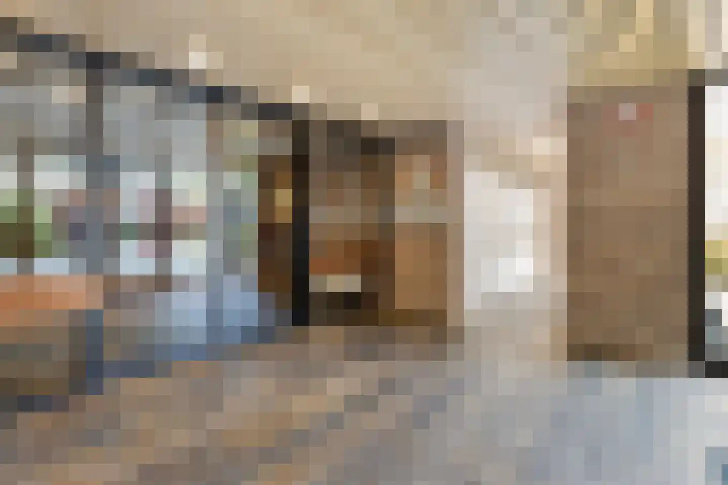 De Eschmolen 223 Delden thumbnail 6