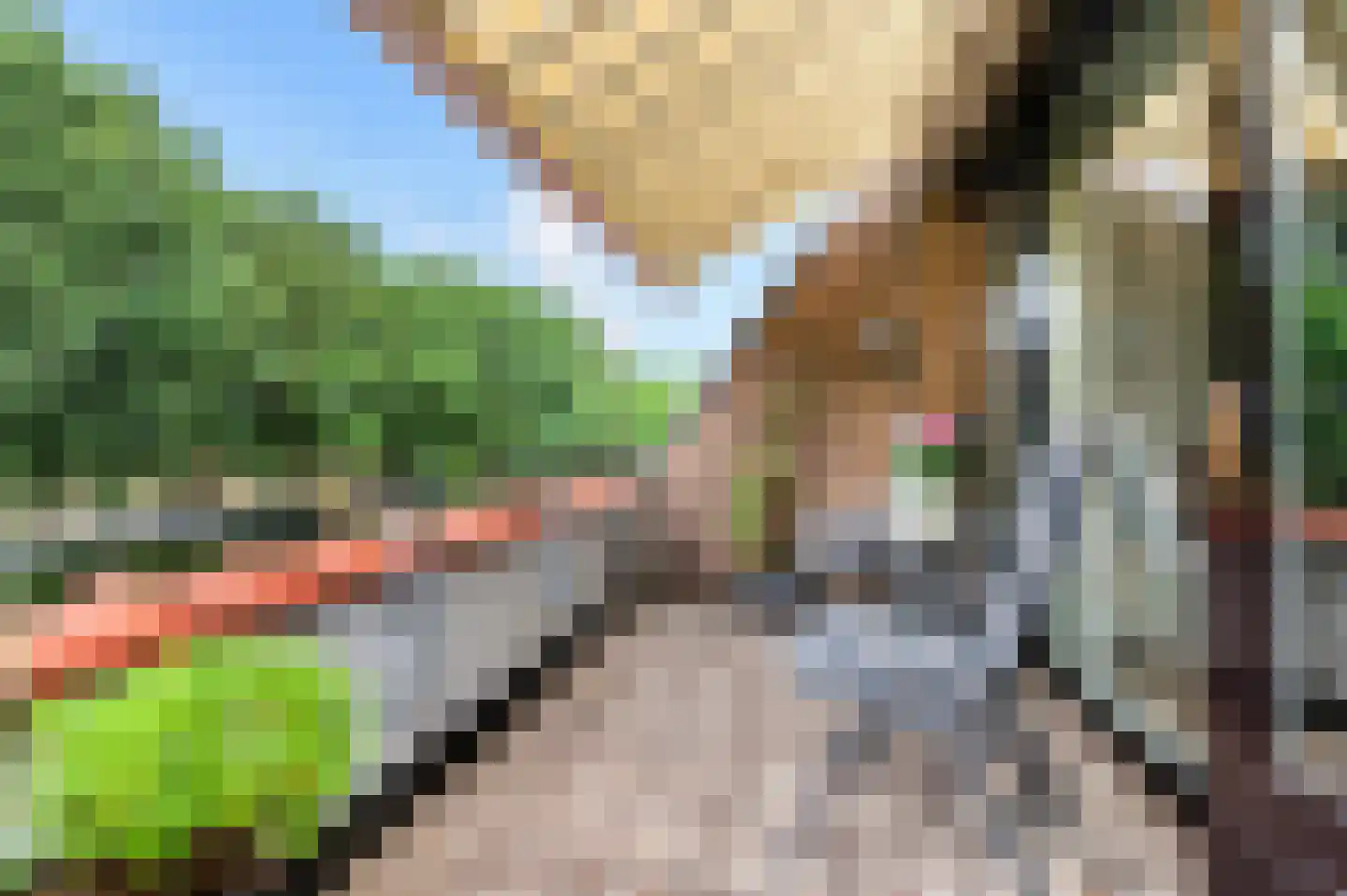De Eschmolen 308 Delden thumbnail 4