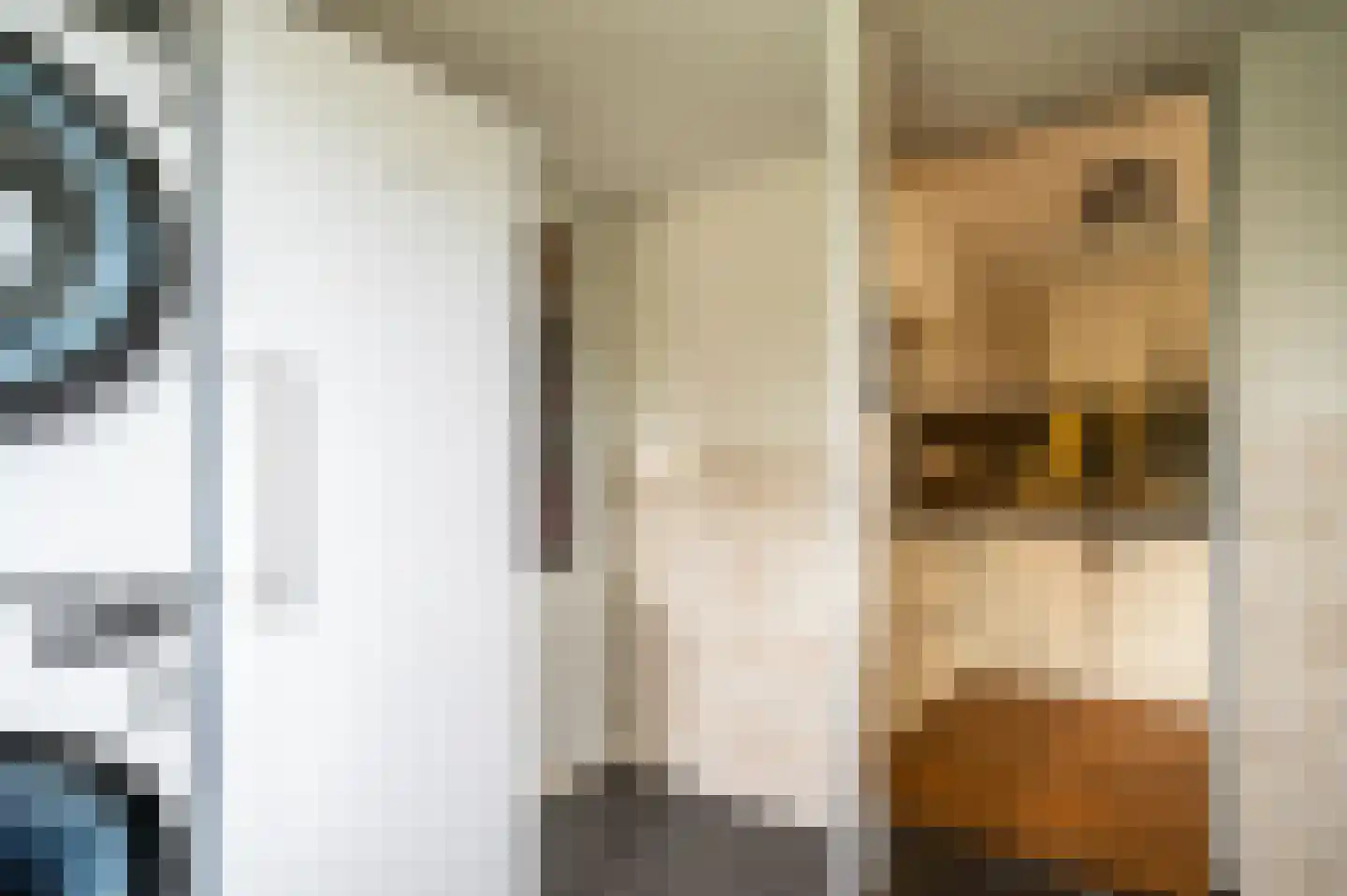 De Esdoorn 10 Koekange thumbnail 11
