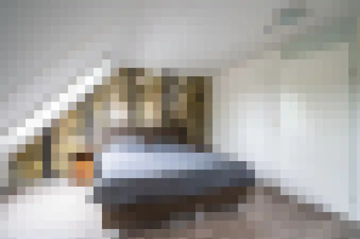 De Esdoorn 10 Koekange thumbnail 13