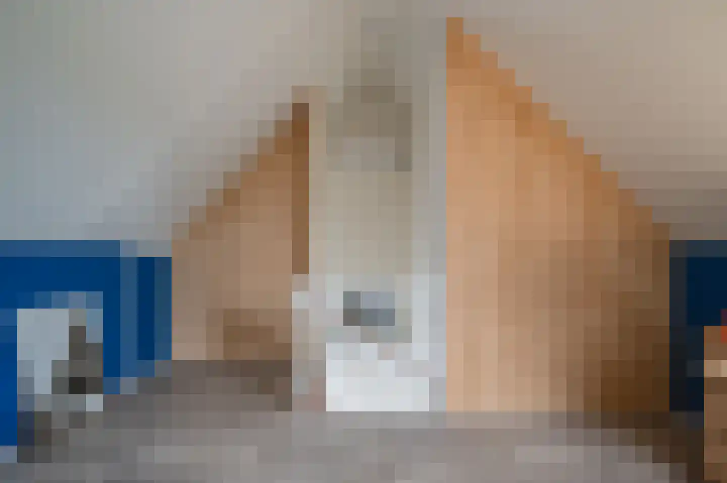 De Esdoorn 10 Koekange thumbnail 21