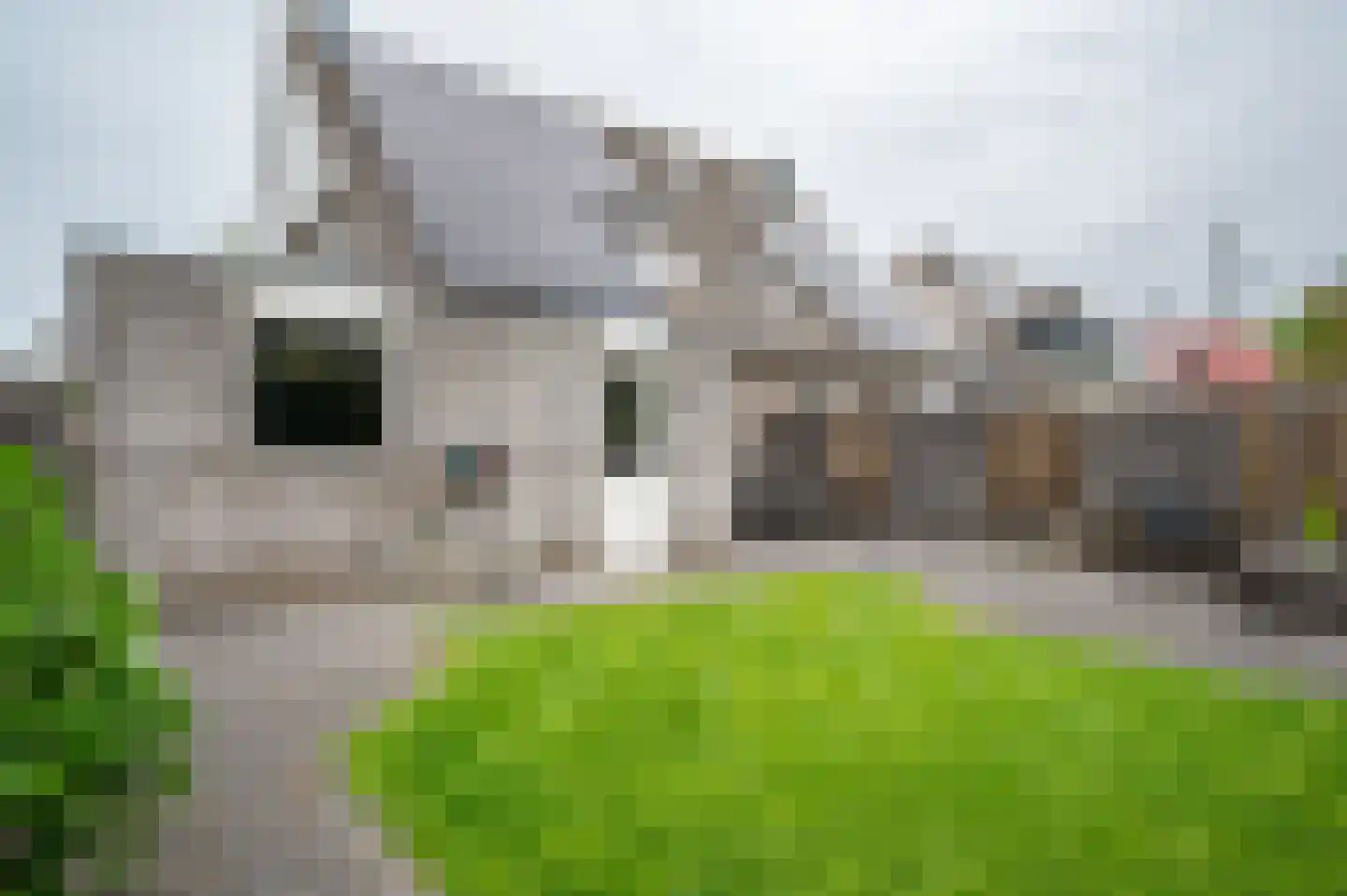 De Esdoorn 10 Koekange thumbnail 25