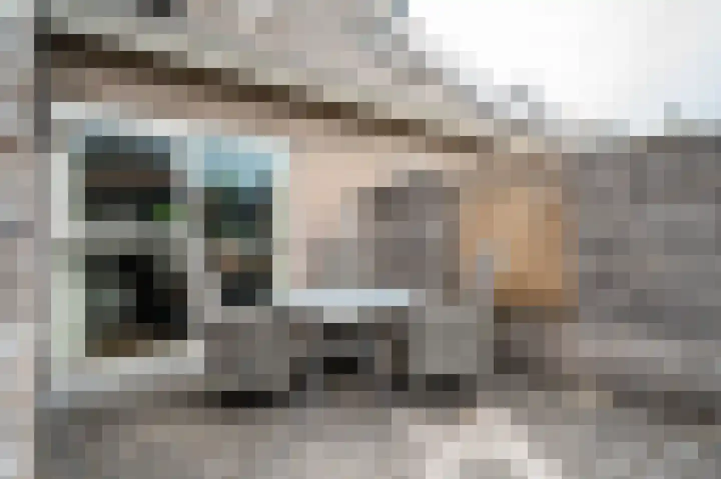 De Esdoorn 10 Koekange thumbnail 26