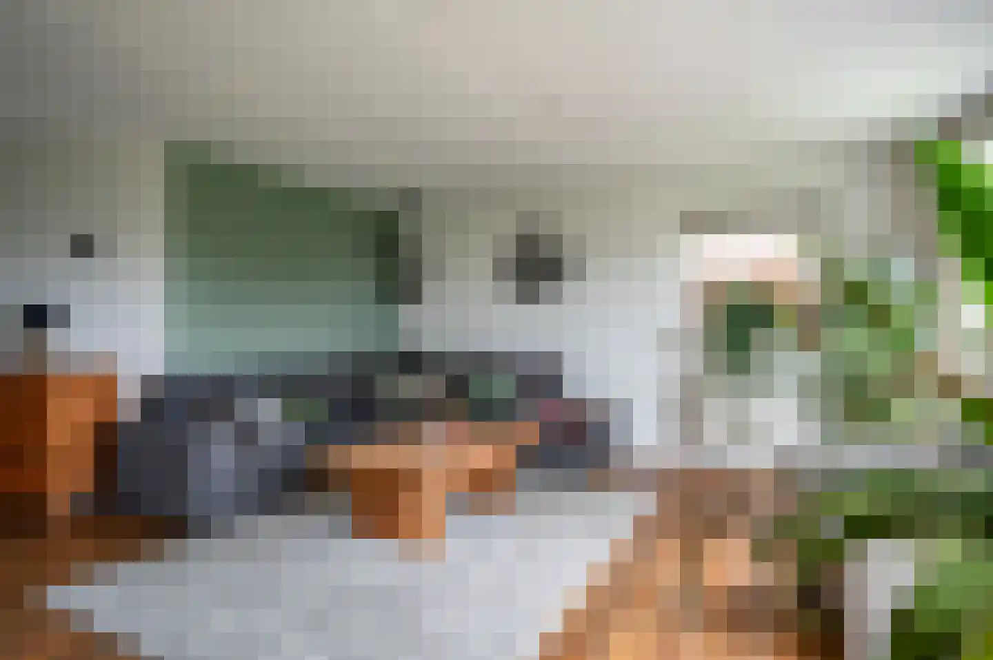 De Esdoorn 10 Koekange thumbnail 5