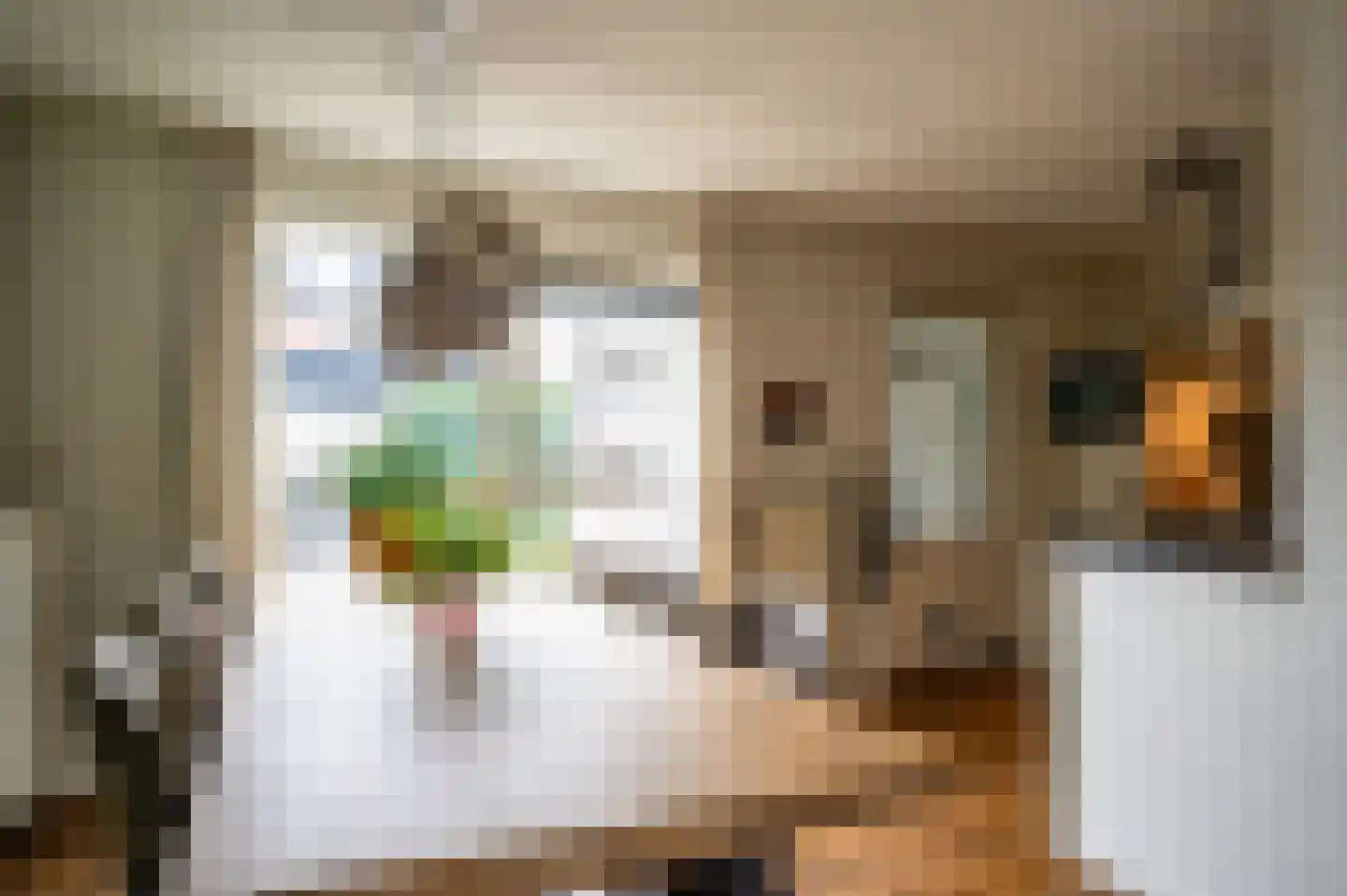 De Esdoorn 10 Koekange thumbnail 8