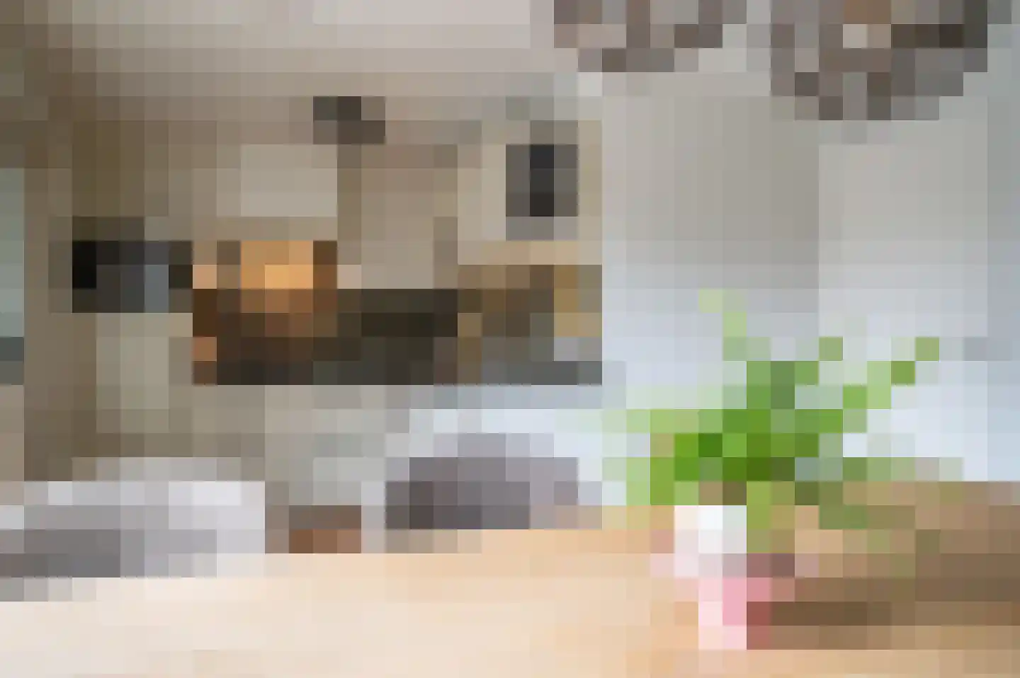 De Esdoorn 10 Koekange thumbnail 9