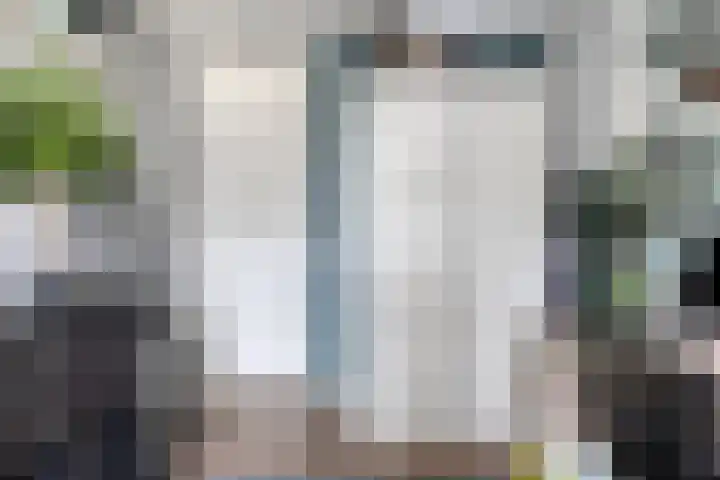 De Esdoorn 11 Budel thumbnail 15