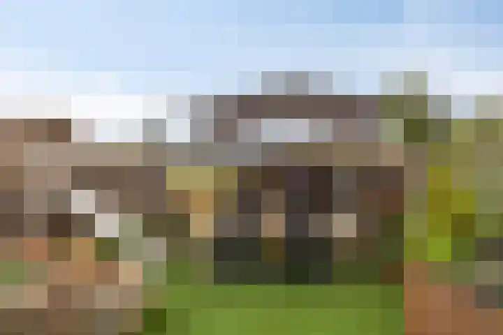 De Esdoorn 11 Budel thumbnail 25