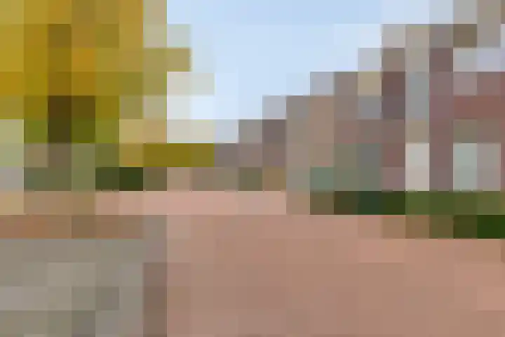 De Esdoorn 11 Budel thumbnail 26