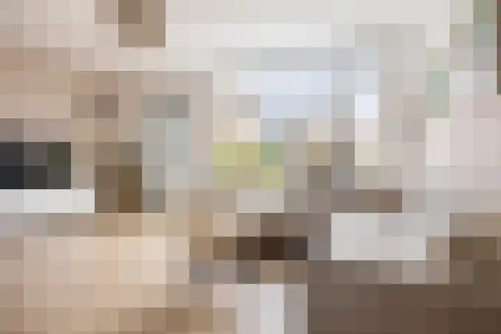 De Esdoorn 12 Bedum thumbnail 13
