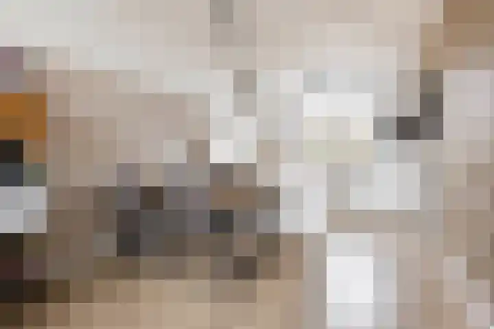 De Esdoorn 12 Bedum thumbnail 14