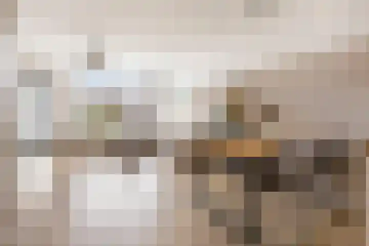 De Esdoorn 12 Bedum thumbnail 20