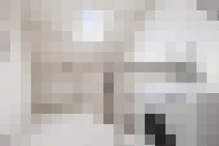 De Esdoorn 12 Bedum thumbnail 35