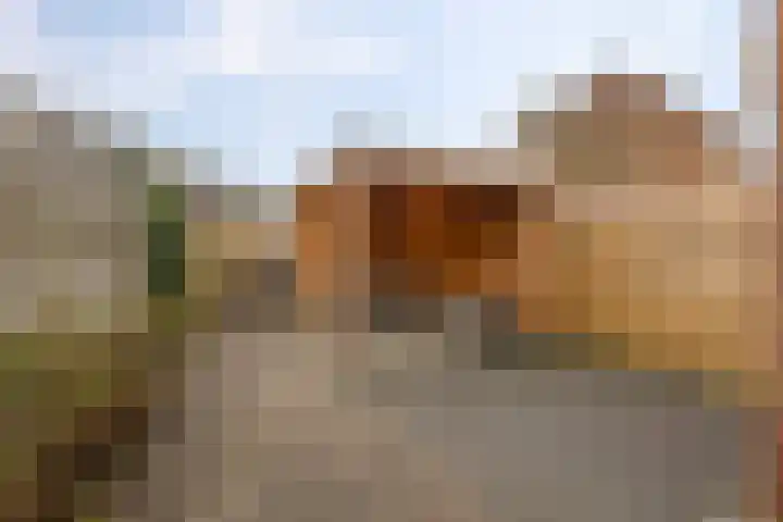 De Esdoorn 12 Bedum thumbnail 38