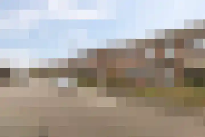 De Esdoorn 12 Bedum thumbnail 42