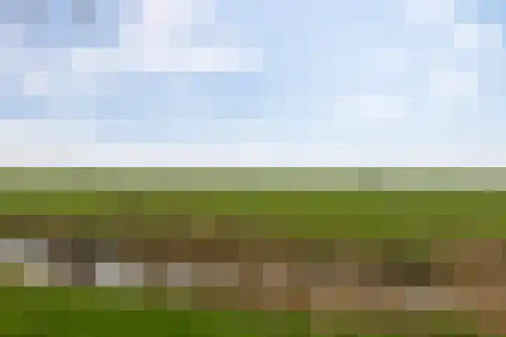 De Esdoorn 12 Bedum thumbnail 45