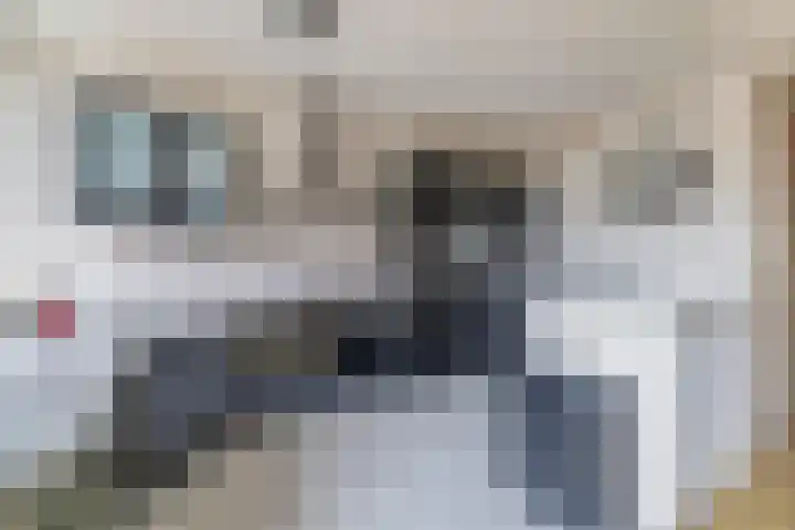 De Esdoorn 16 Zevenhuizen thumbnail 10