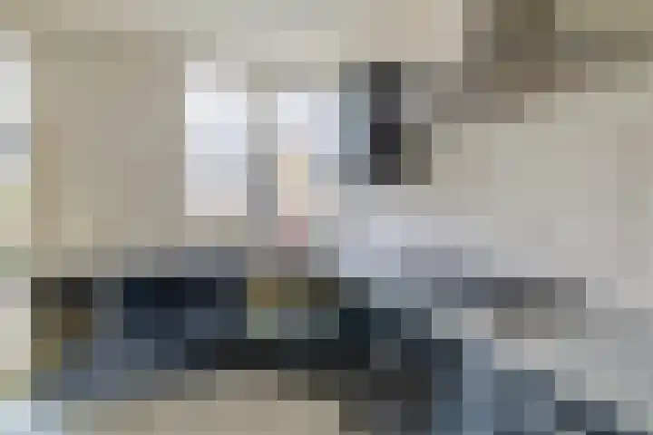 De Esdoorn 16 Zevenhuizen thumbnail 11