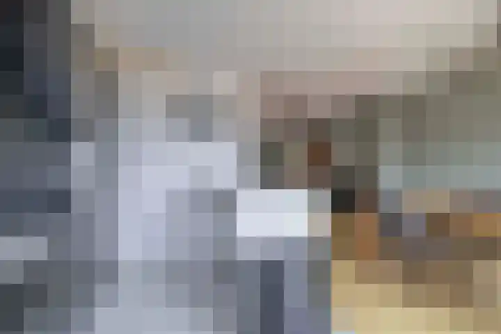 De Esdoorn 16 Zevenhuizen thumbnail 12
