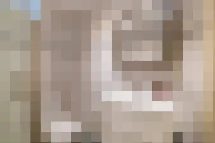 De Esdoorn 16 Zevenhuizen thumbnail 22
