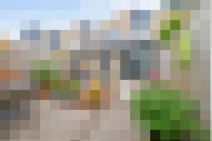 De Esdoorn 16 Zevenhuizen thumbnail 24