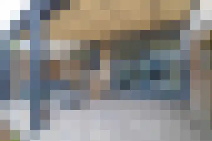 De Esdoorn 16 Zevenhuizen thumbnail 25