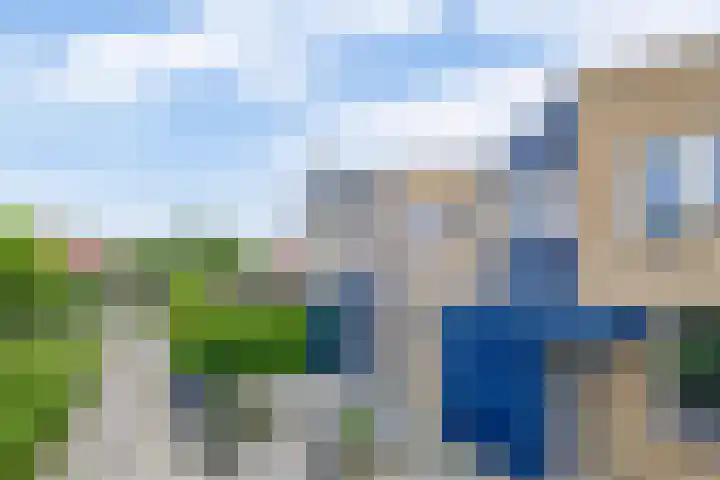 De Esdoorn 16 Zevenhuizen thumbnail 27
