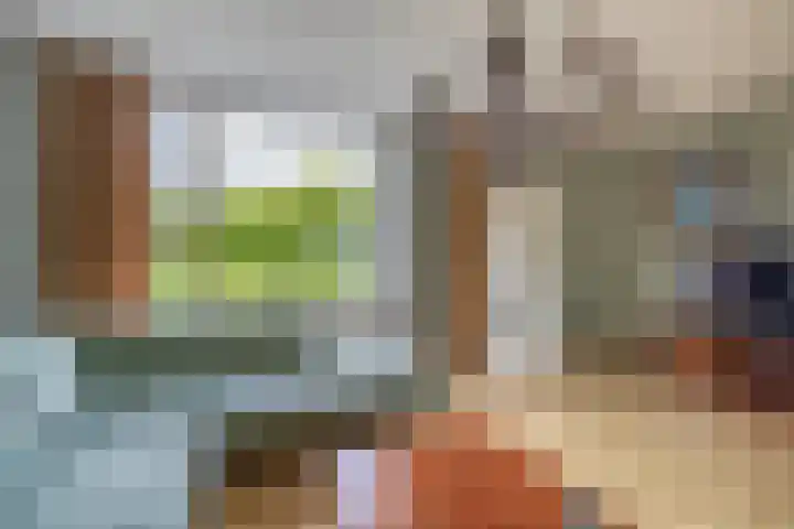 De Esdoorn 16 Zevenhuizen thumbnail 6