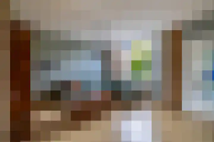 De Esdoorn 16 Zevenhuizen thumbnail 7